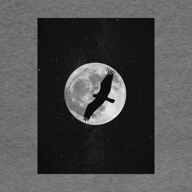 Full moon and falcon by Creative at home